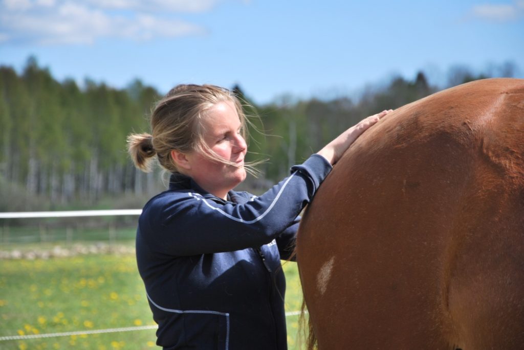 Jennies HelhetsHälsa