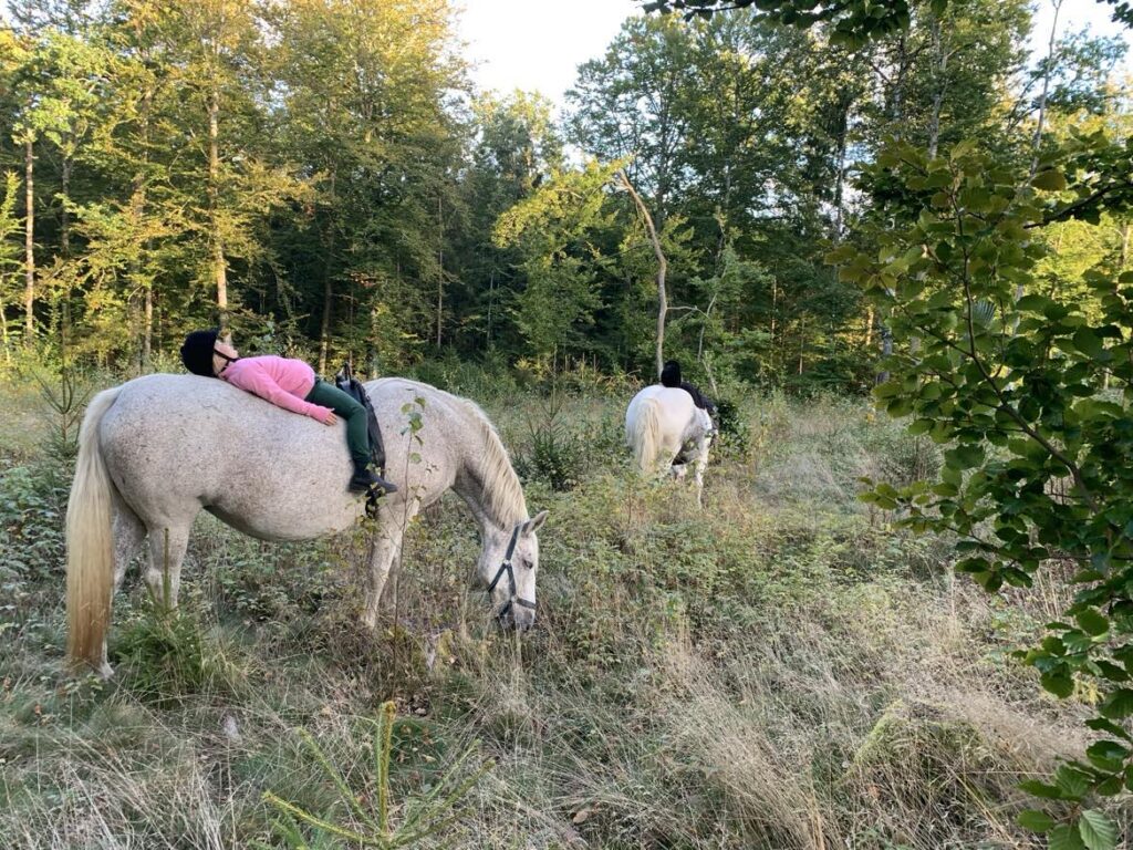 Jennies HelhetsHälsa